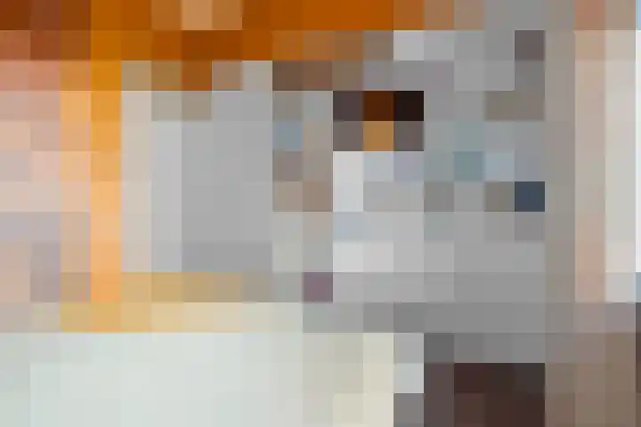 Portugalkade 101 Almere thumbnail 31