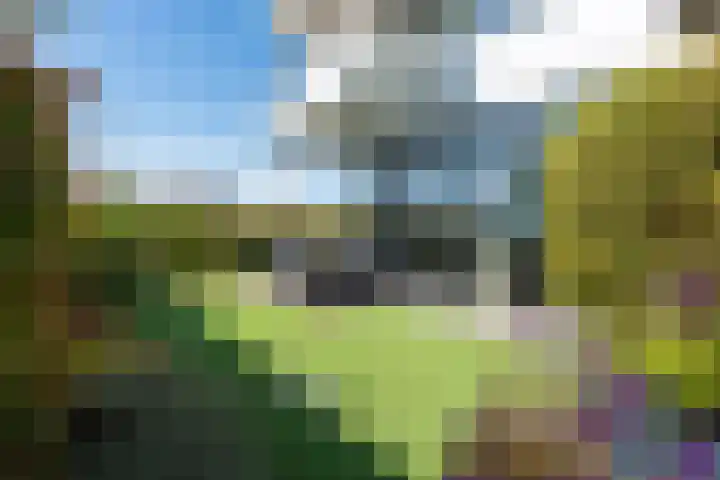 Portugalkade 103 Almere thumbnail 47