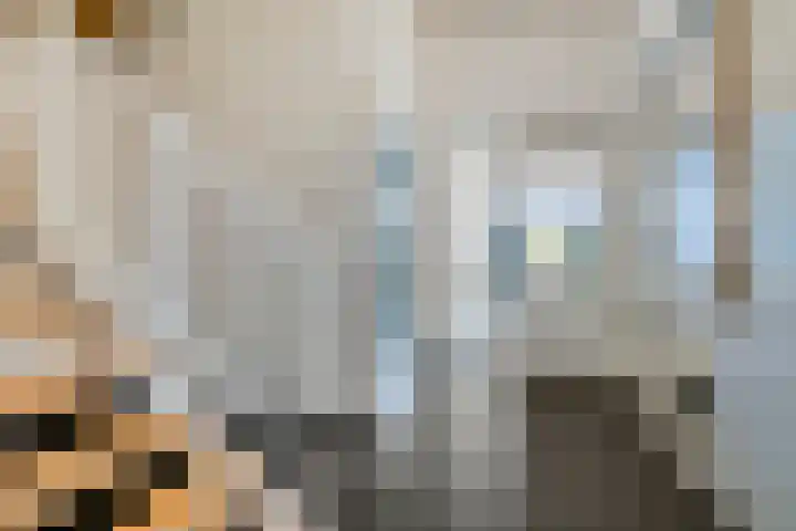Portugalkade 13 Almere thumbnail 35