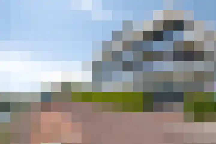 Portugalkade 13 Almere thumbnail 38