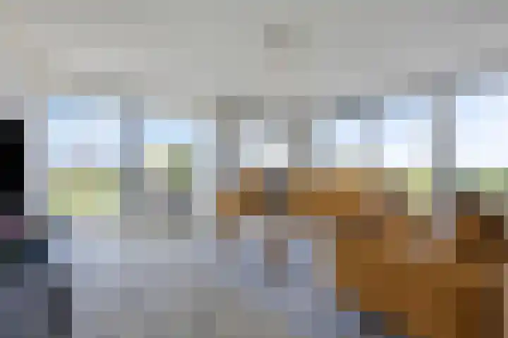 Portugalkade 13 Almere thumbnail 5
