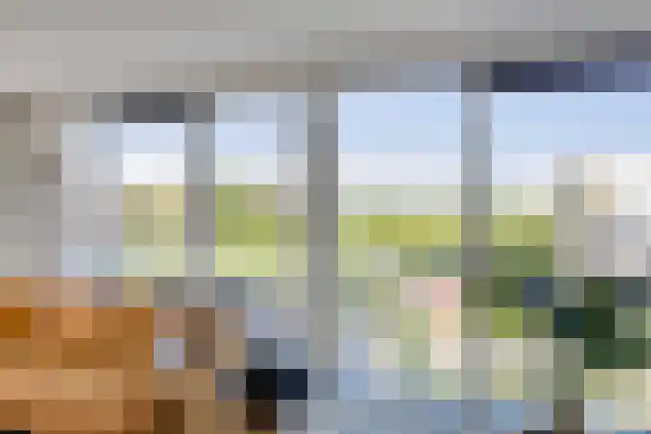 Portugalkade 13 Almere thumbnail 6