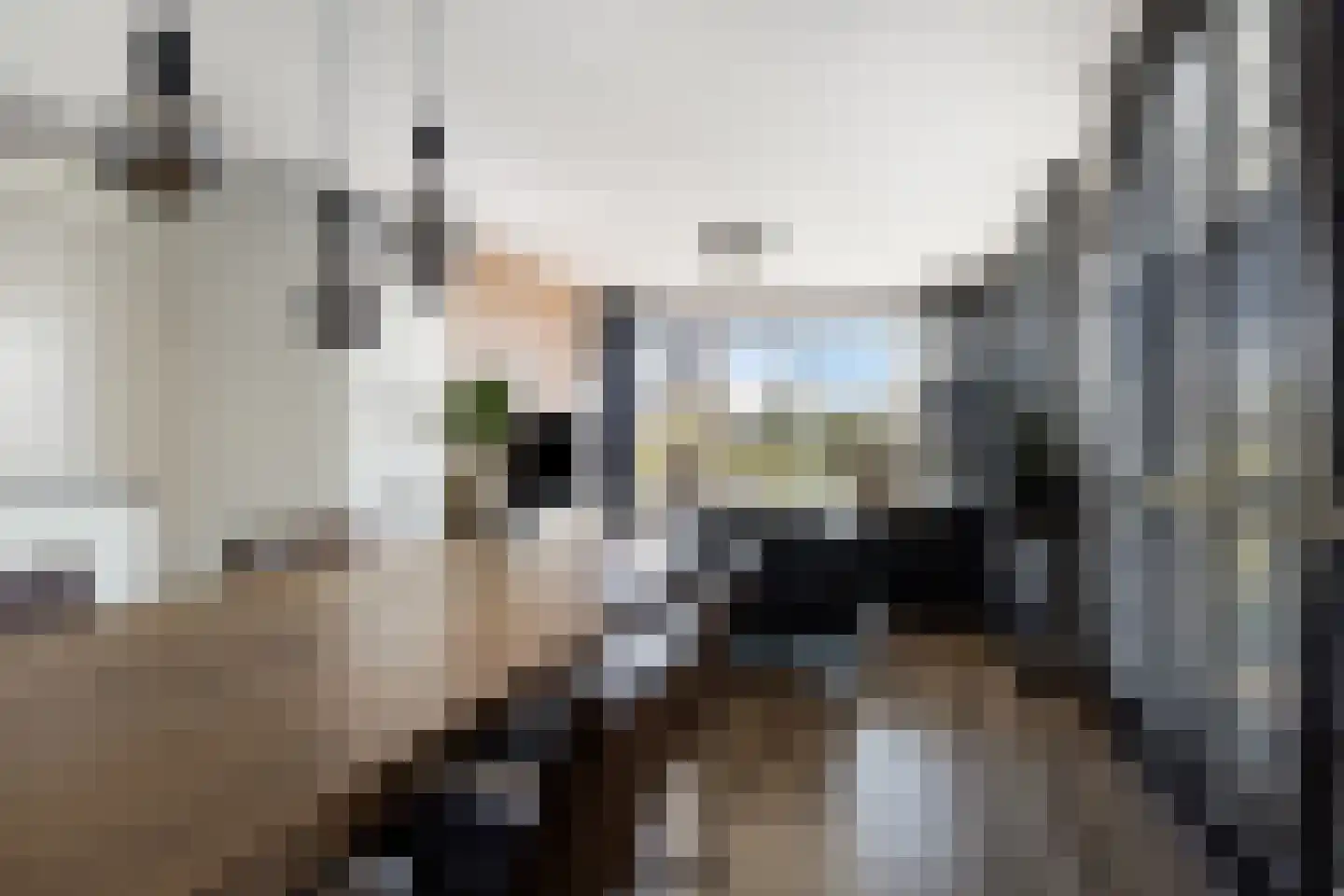 Portugalkade 29 Almere thumbnail 14
