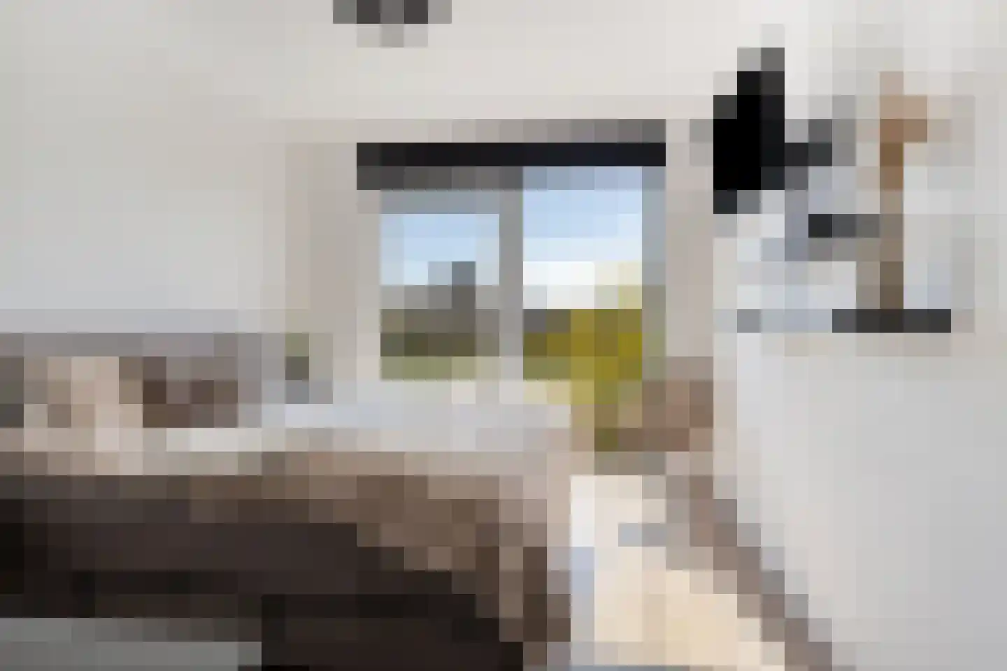 Portugalkade 29 Almere thumbnail 15