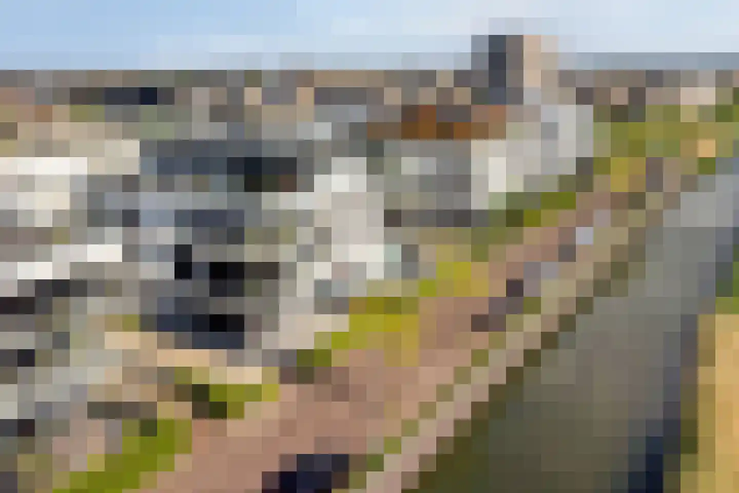 Portugalkade 29 Almere thumbnail 27