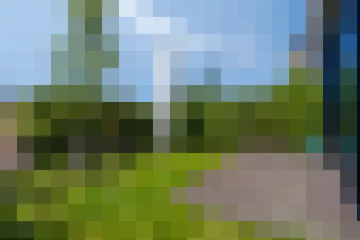 Portugalkade 53 Almere thumbnail 11