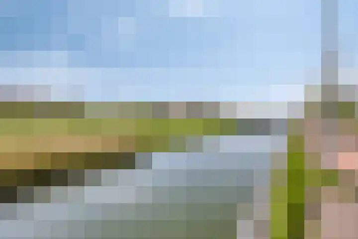 Portugalkade 53 Almere thumbnail 21