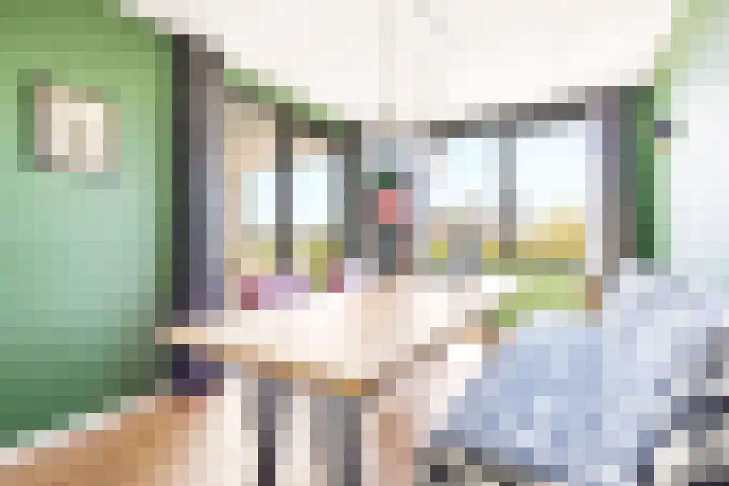 Portugalkade 57 Almere thumbnail 18