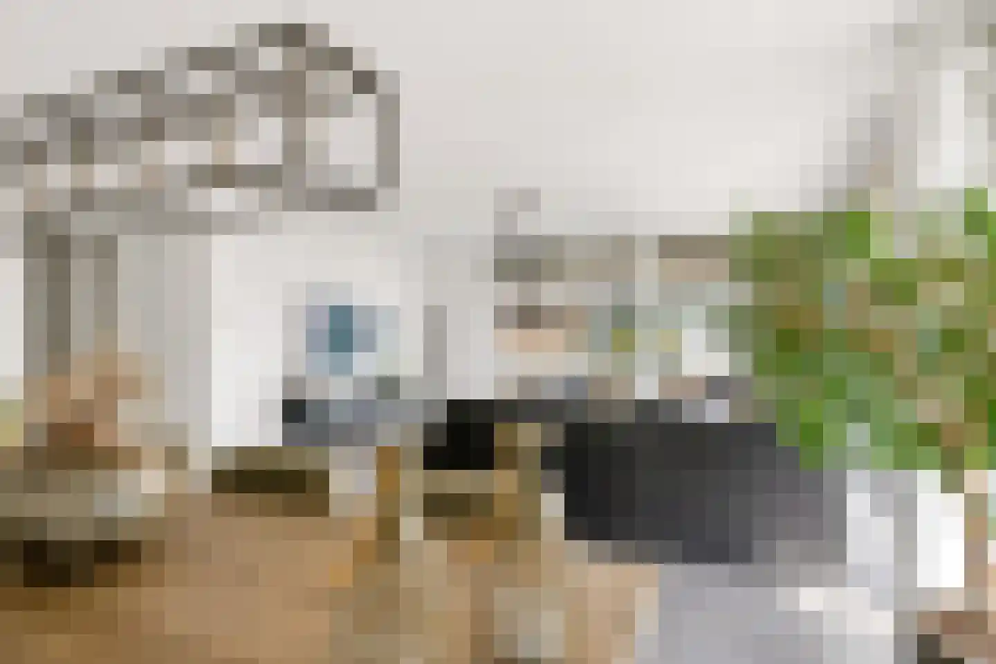 Portugalkade 9 Almere thumbnail 11