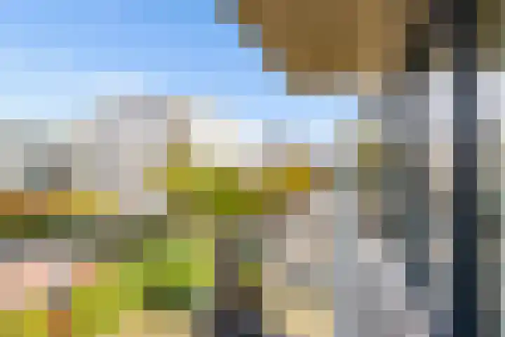 Portugalkade 9 Almere thumbnail 14