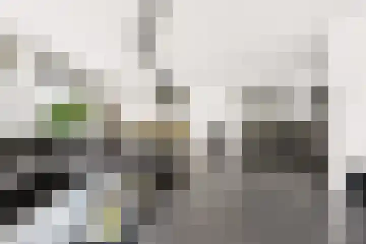 Portugalkade 9 Almere thumbnail 19