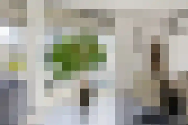 Portugalkade 9 Almere thumbnail 20
