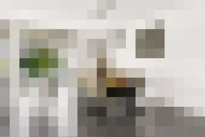 Portugalkade 9 Almere thumbnail 21