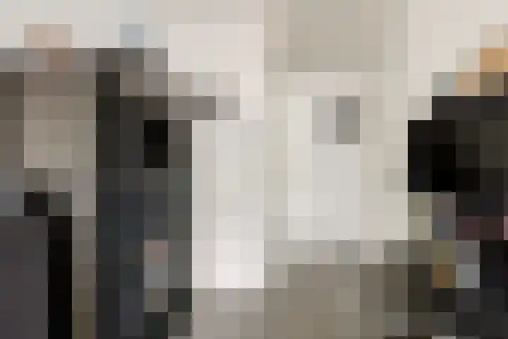 Portugalkade 9 Almere thumbnail 32