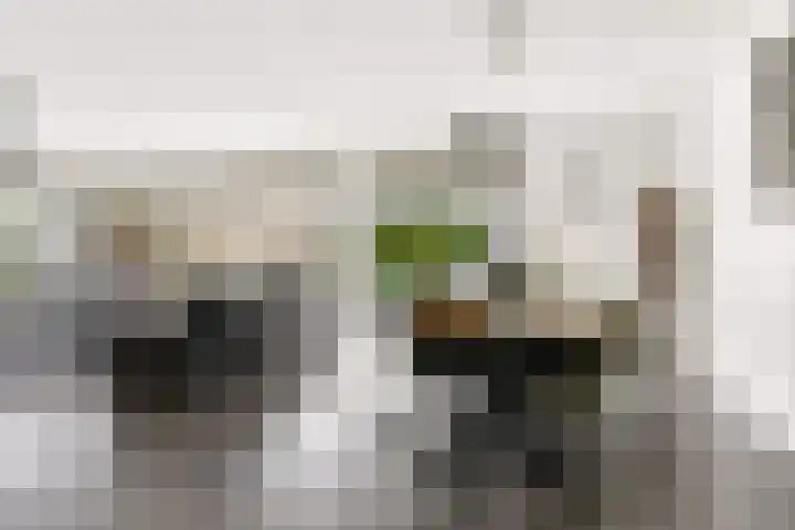 Portugalkade 9 Almere thumbnail 9