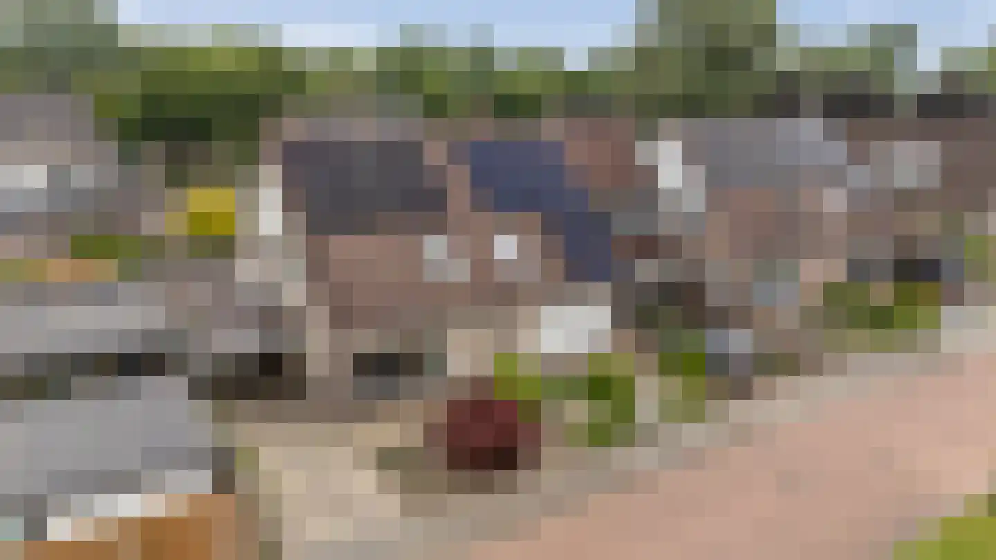 Portugallaan 12 Schoonebeek thumbnail 36