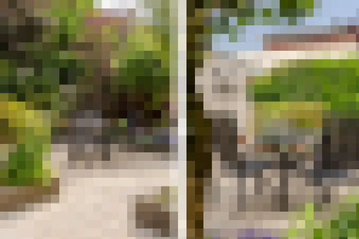 Portugesezoom 1 Nieuwerkerk aan den IJssel thumbnail 14