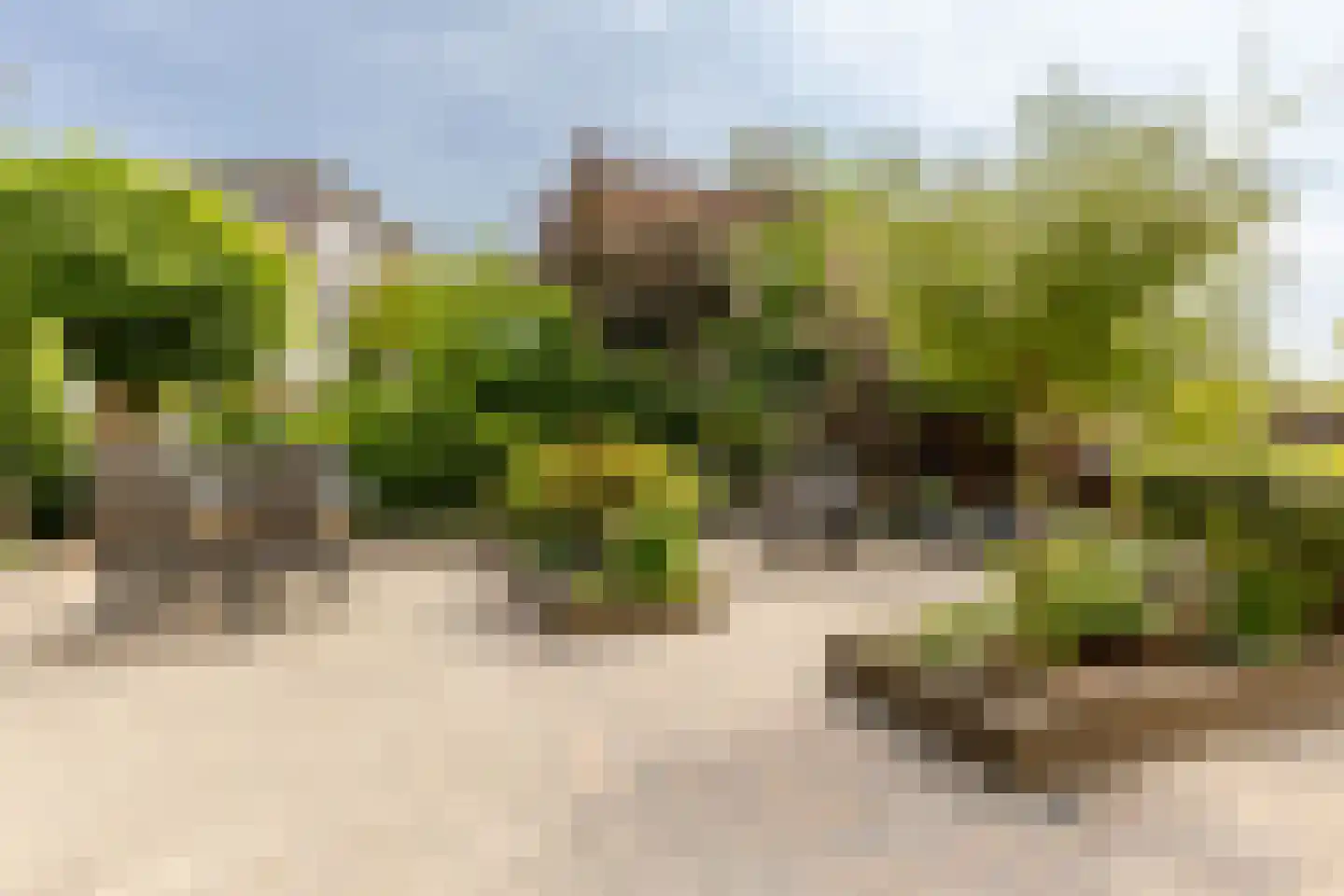 Portugesezoom 1 Nieuwerkerk aan den IJssel thumbnail 16