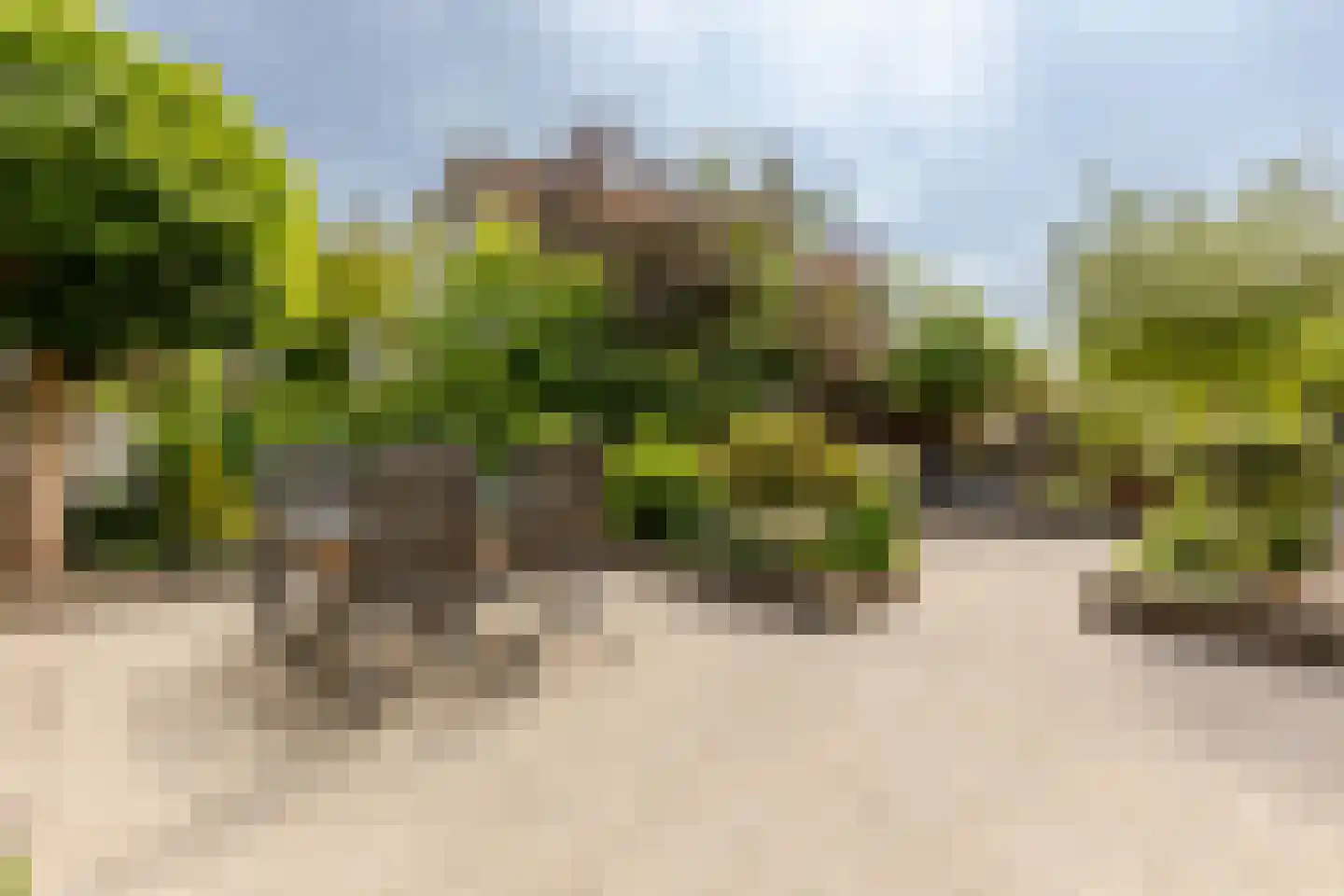 Portugesezoom 1 Nieuwerkerk aan den IJssel thumbnail 17