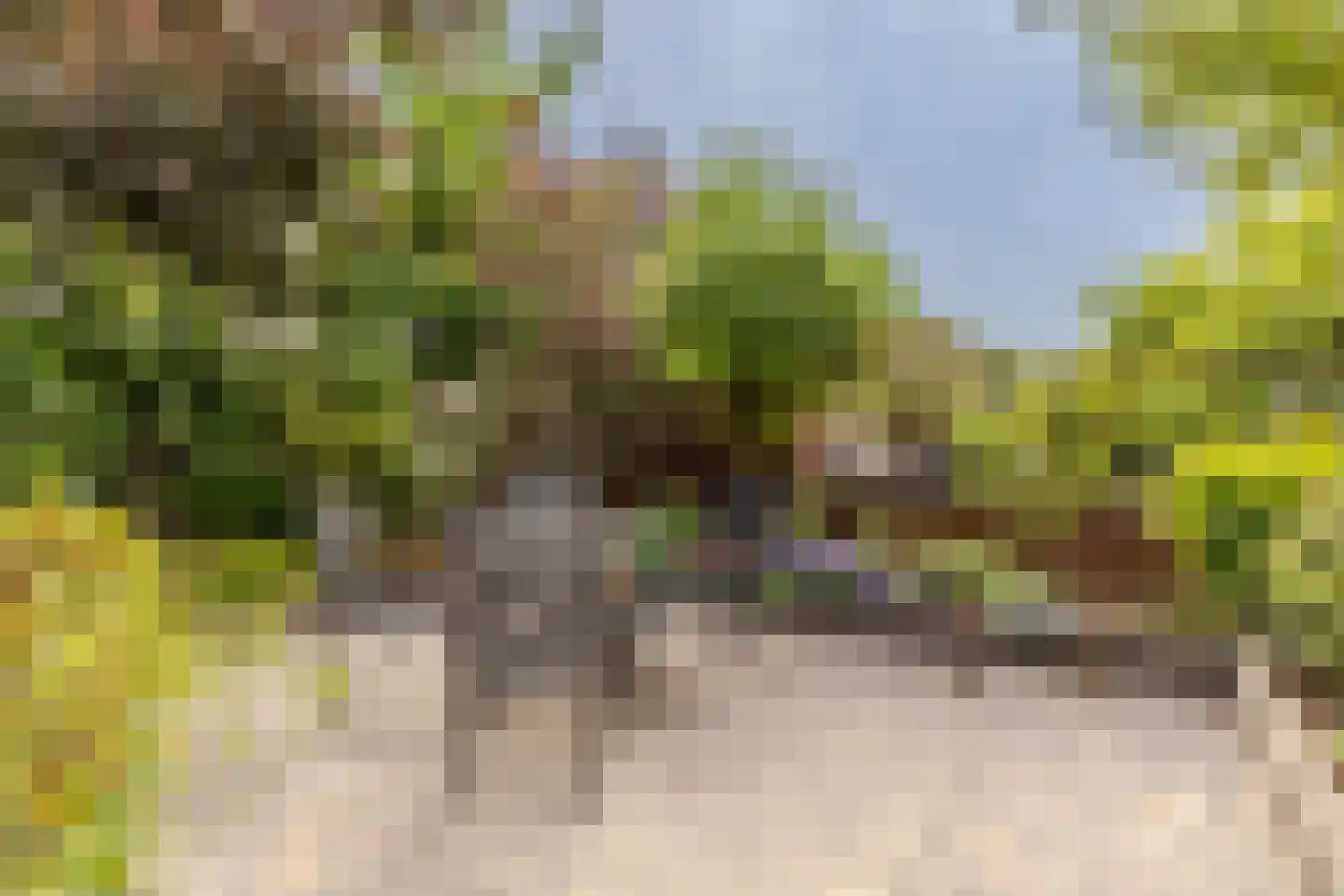 Portugesezoom 1 Nieuwerkerk aan den IJssel thumbnail 18