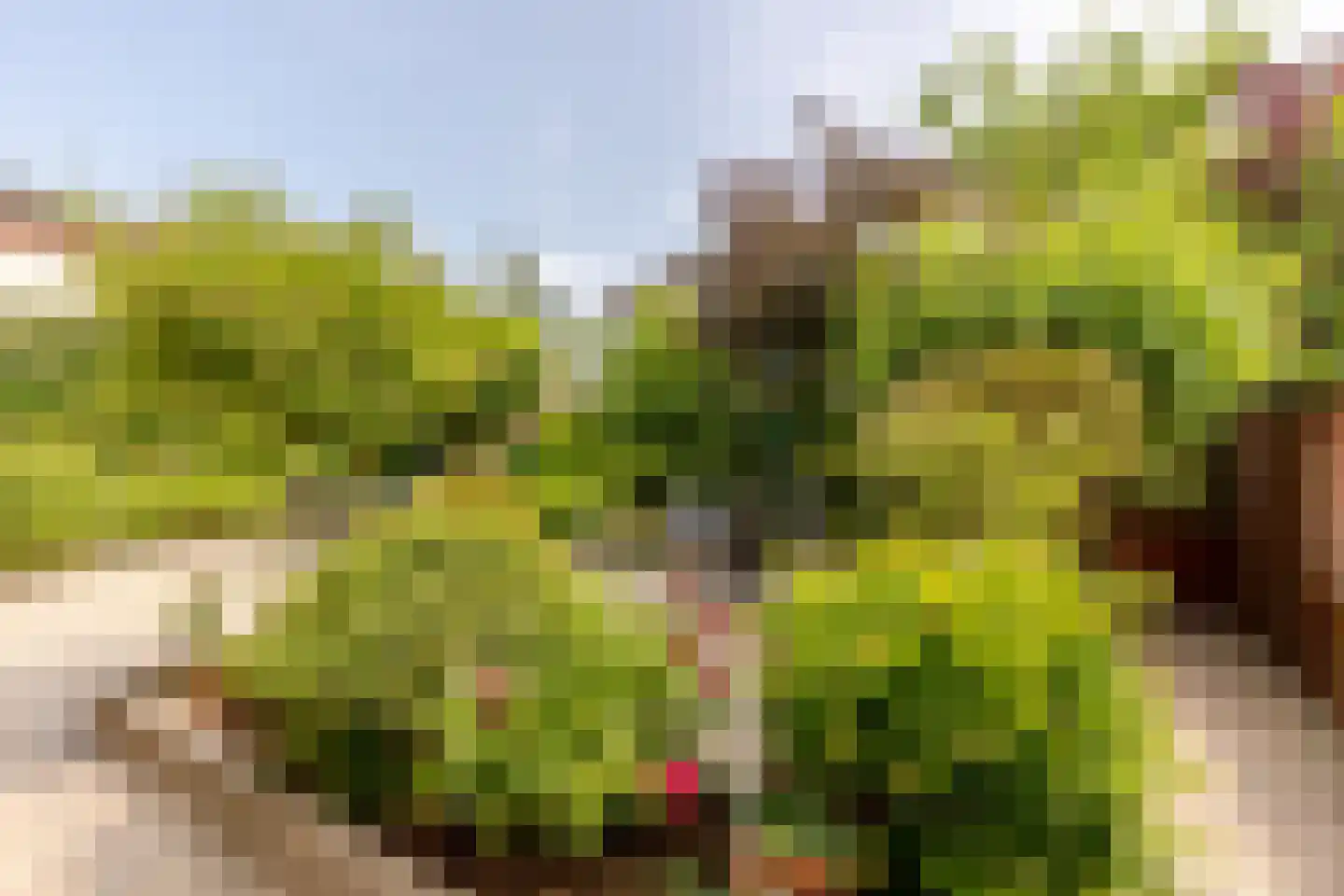 Portugesezoom 1 Nieuwerkerk aan den IJssel thumbnail 19