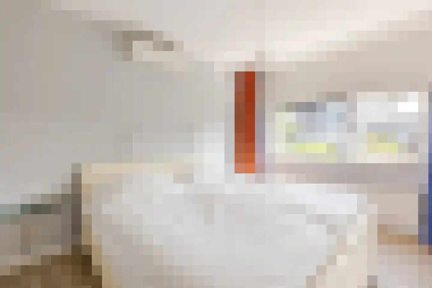Portugesezoom 1 Nieuwerkerk aan den IJssel thumbnail 23