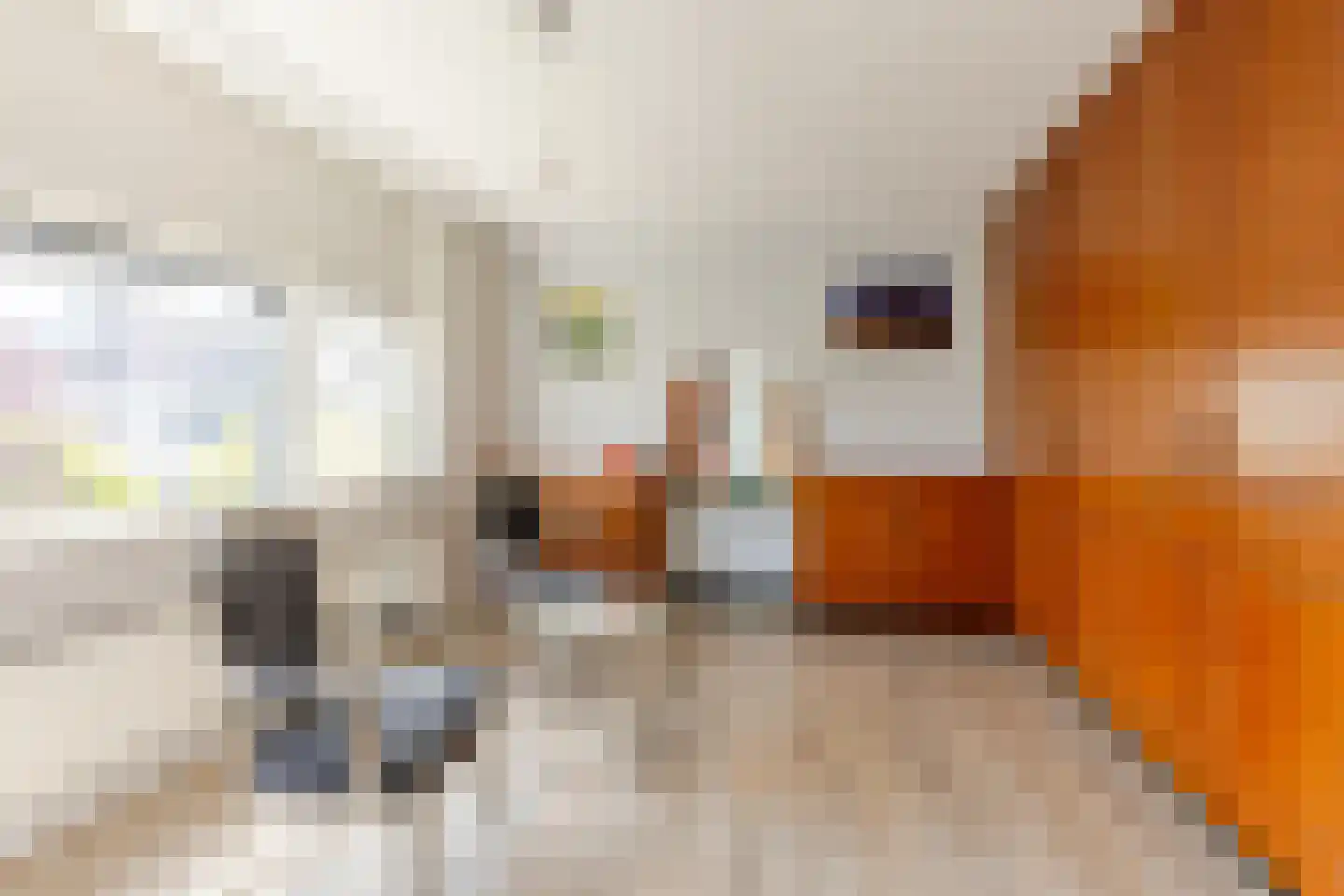 Portugesezoom 1 Nieuwerkerk aan den IJssel thumbnail 25