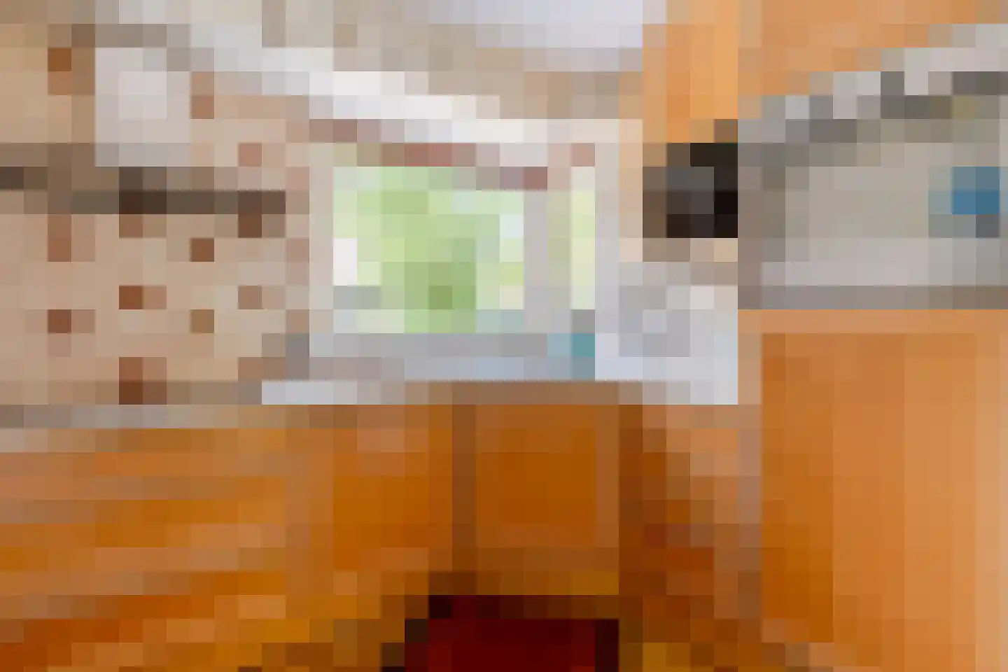 Portugesezoom 1 Nieuwerkerk aan den IJssel foto 3