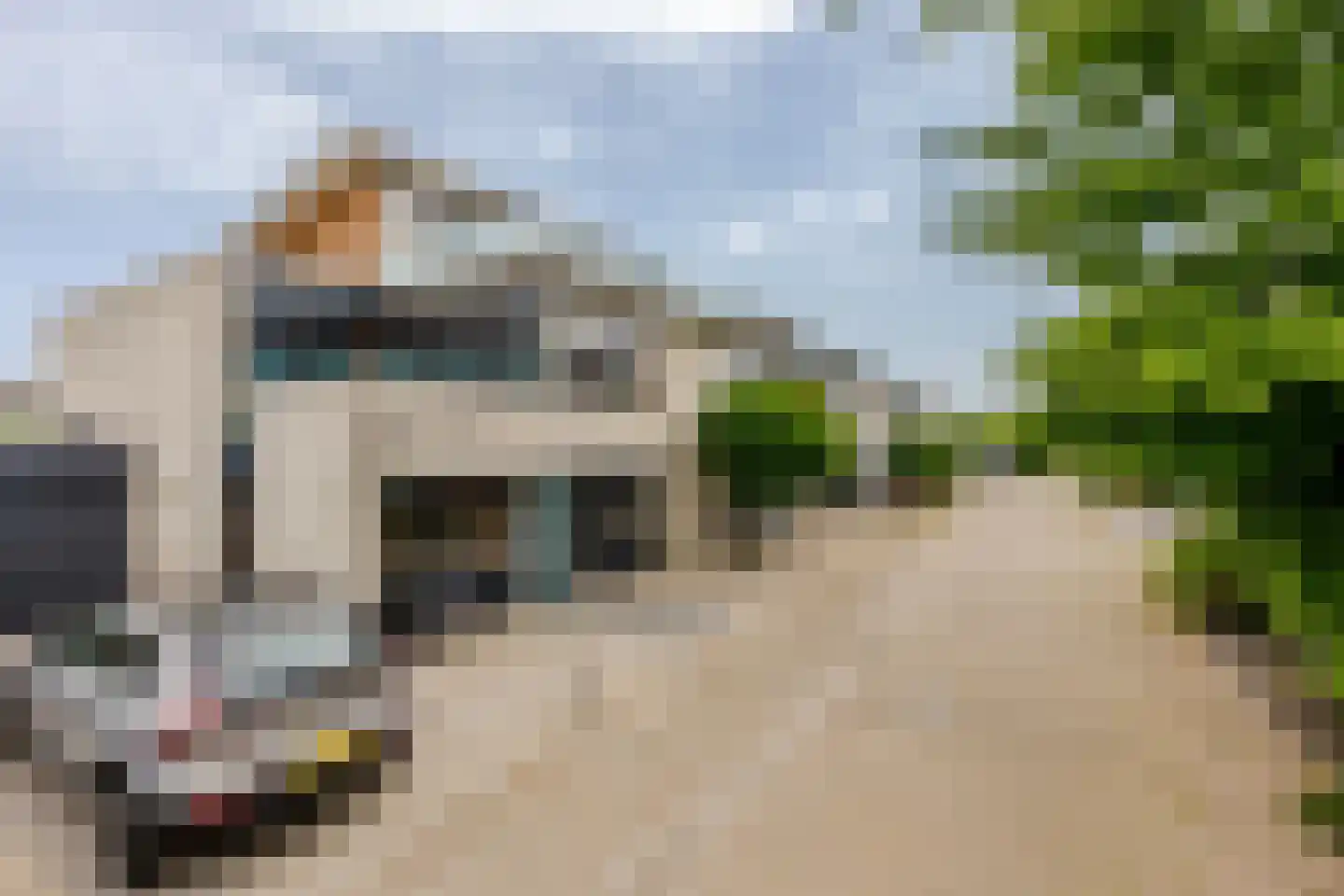Portugesezoom 1 Nieuwerkerk aan den IJssel thumbnail 34