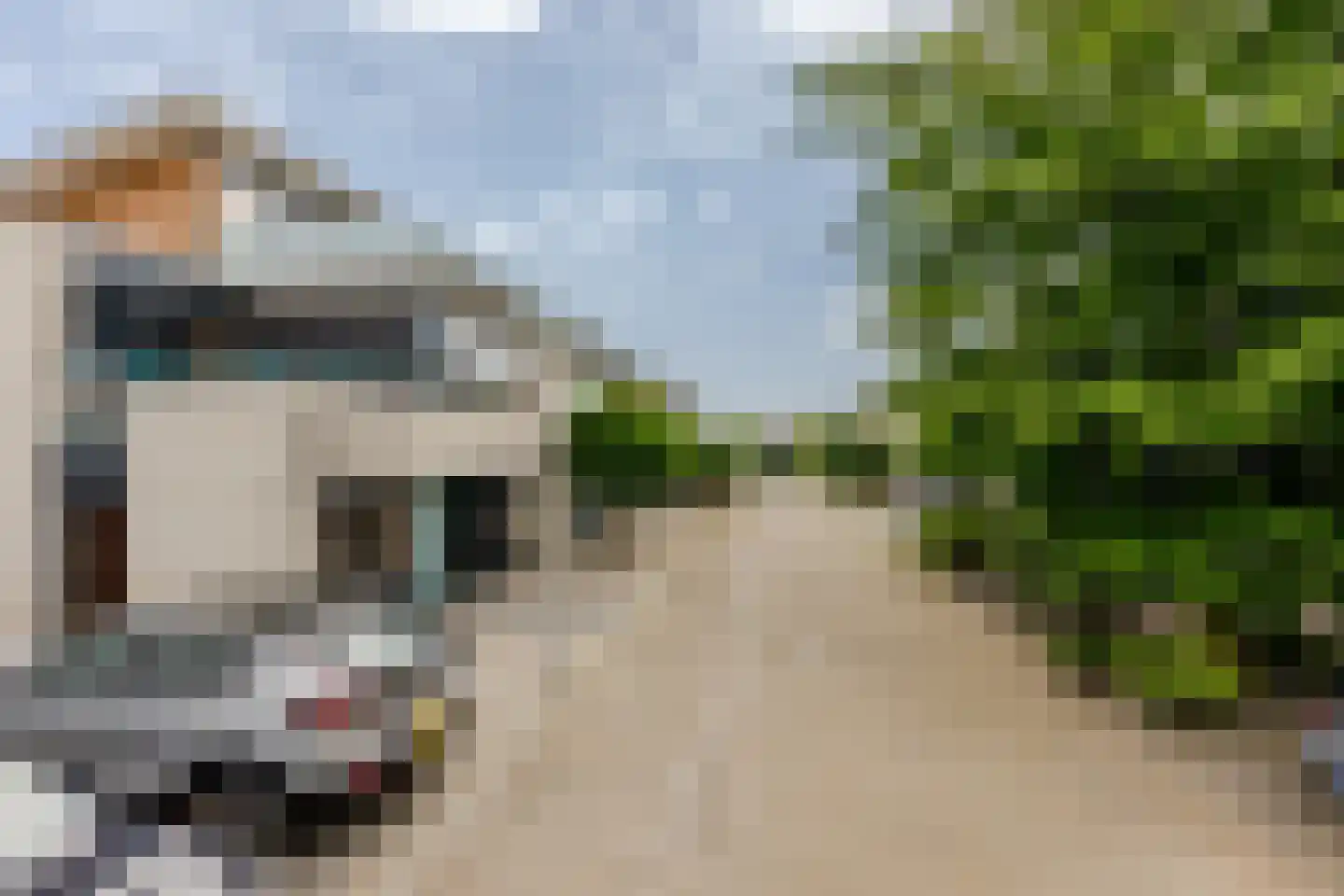 Portugesezoom 1 Nieuwerkerk aan den IJssel thumbnail 38
