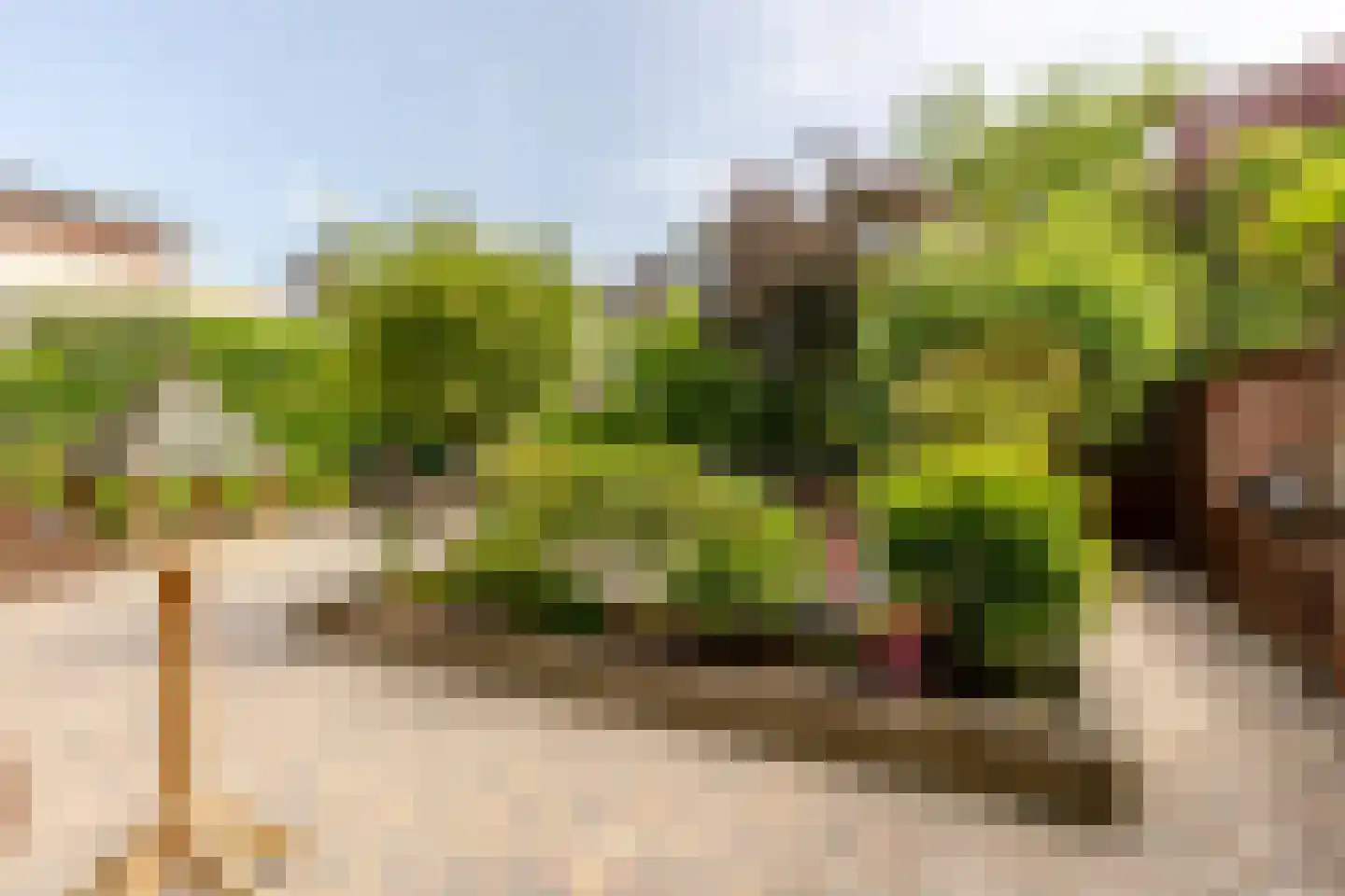 Portugesezoom 1 Nieuwerkerk aan den IJssel thumbnail 5