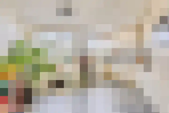 Portugesezoom 12 Nieuwerkerk aan den IJssel thumbnail 12