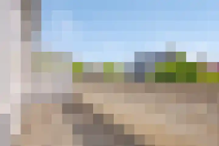 Portugesezoom 12 Nieuwerkerk aan den IJssel thumbnail 27