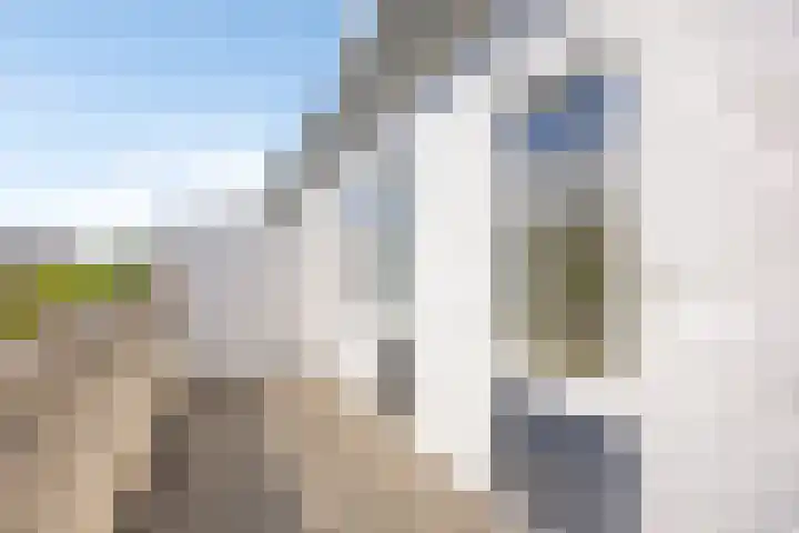 Portugesezoom 12 Nieuwerkerk aan den IJssel thumbnail 28