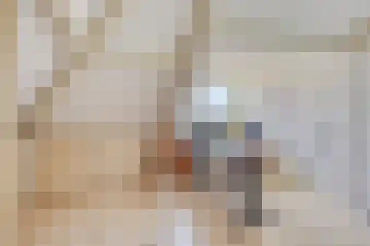 Portugesezoom 12 Nieuwerkerk aan den IJssel thumbnail 32