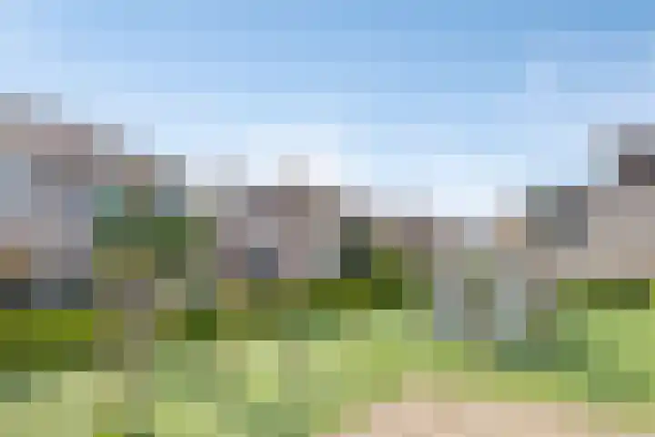 Portugesezoom 12 Nieuwerkerk aan den IJssel thumbnail 37