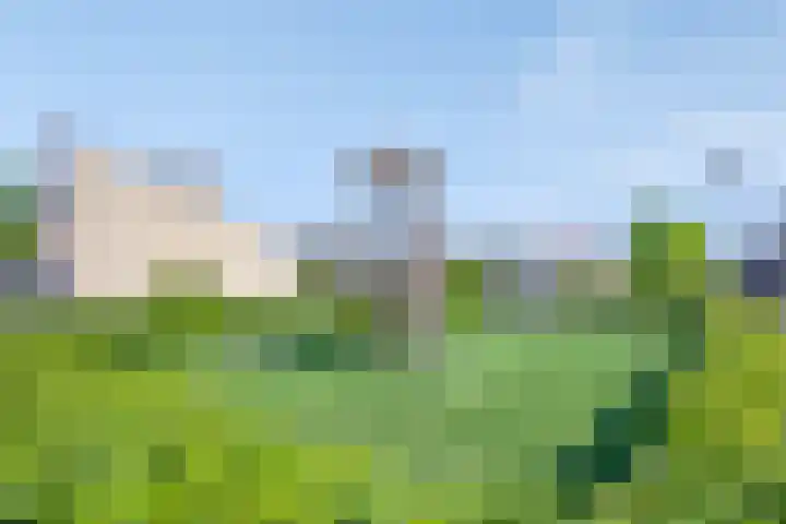 Portugesezoom 12 Nieuwerkerk aan den IJssel thumbnail 40