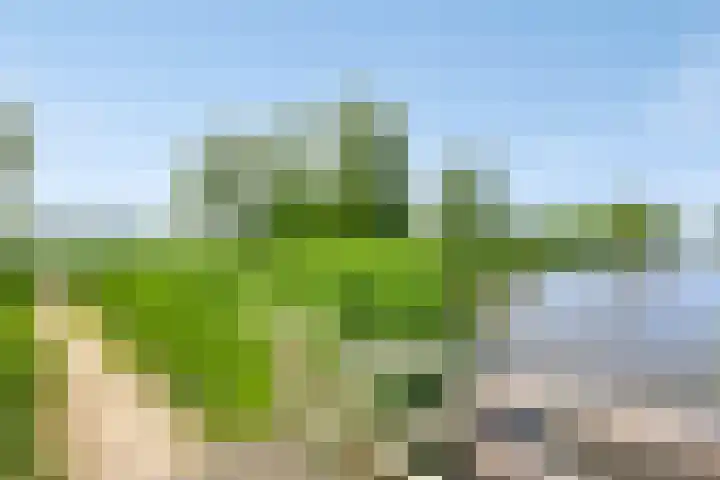 Portugesezoom 12 Nieuwerkerk aan den IJssel thumbnail 42