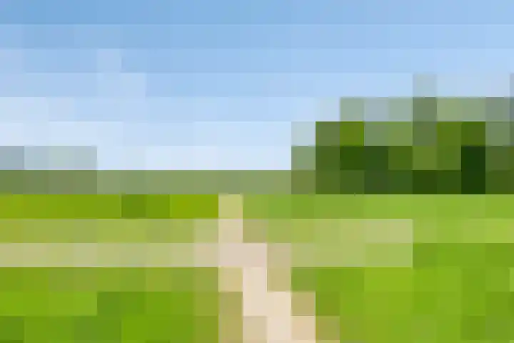 Portugesezoom 12 Nieuwerkerk aan den IJssel thumbnail 43