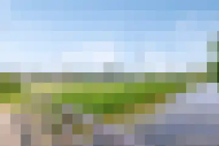Portugesezoom 12 Nieuwerkerk aan den IJssel thumbnail 44