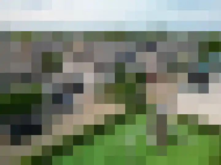 Portugesezoom 12 Nieuwerkerk aan den IJssel thumbnail 46
