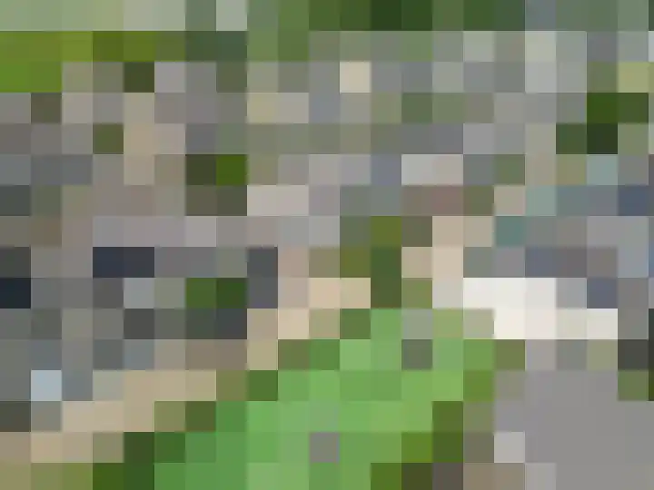 Portugesezoom 12 Nieuwerkerk aan den IJssel thumbnail 47