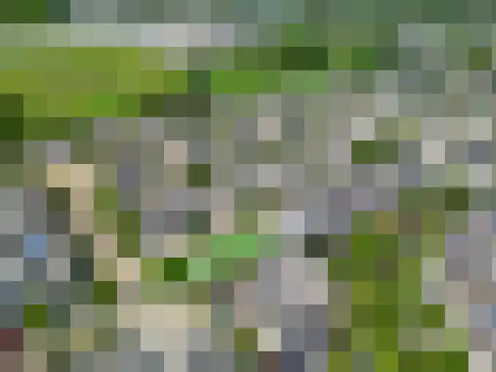 Portugesezoom 12 Nieuwerkerk aan den IJssel thumbnail 48