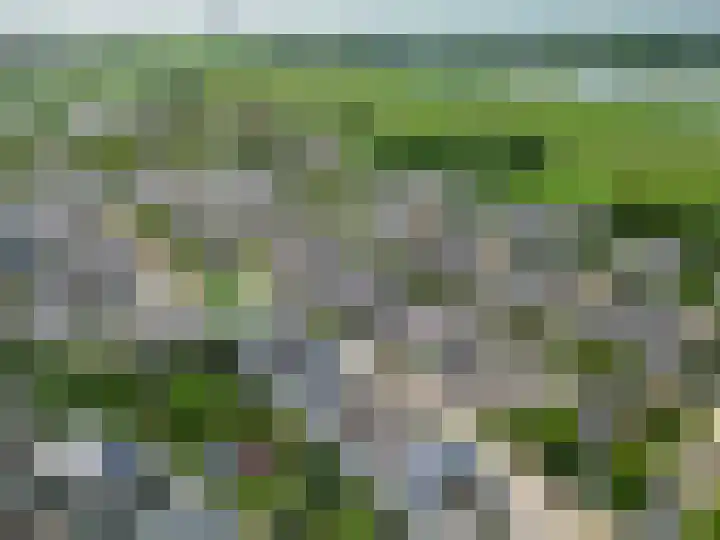 Portugesezoom 12 Nieuwerkerk aan den IJssel thumbnail 49