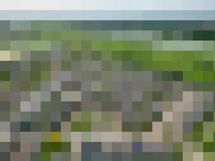Portugesezoom 12 Nieuwerkerk aan den IJssel thumbnail 50