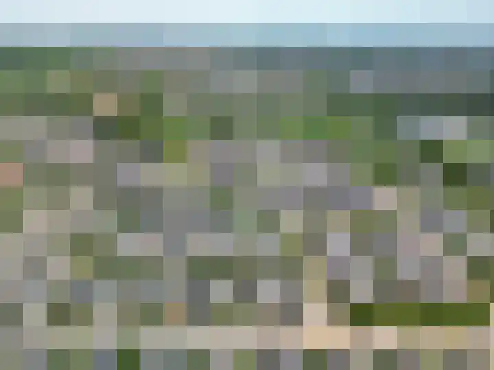 Portugesezoom 12 Nieuwerkerk aan den IJssel thumbnail 51