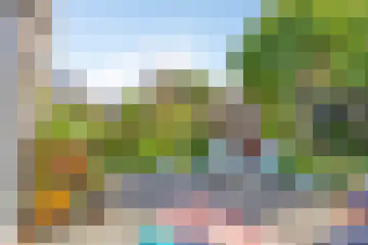 Portugesezoom 12 Nieuwerkerk aan den IJssel thumbnail 7
