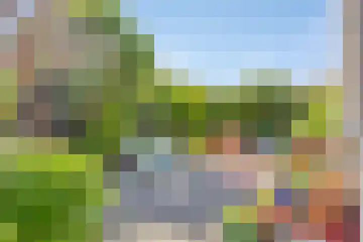 Portugesezoom 12 Nieuwerkerk aan den IJssel thumbnail 8