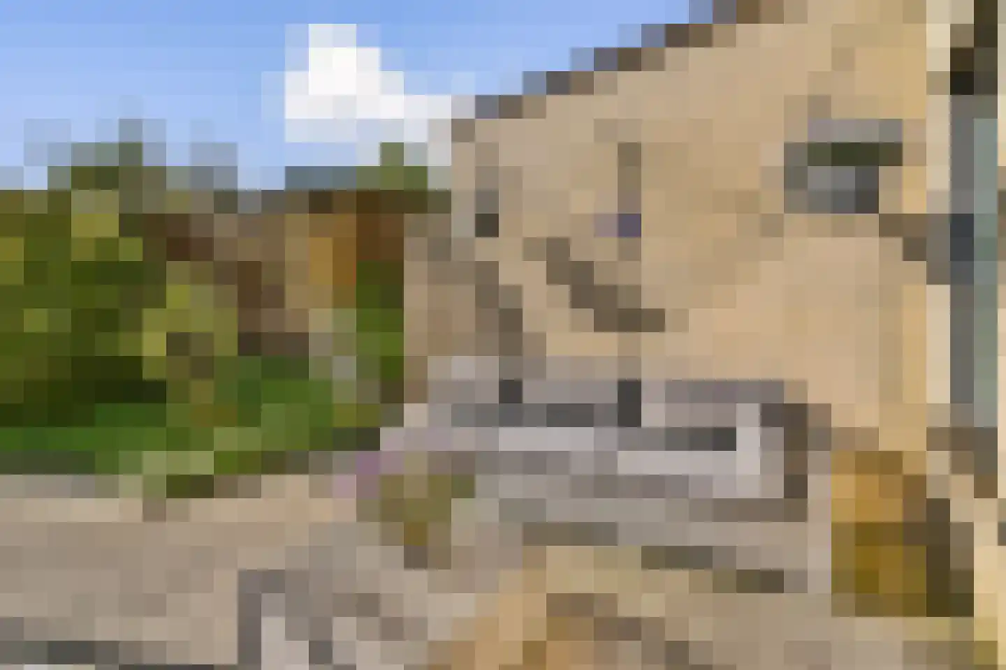 Portus 4 Poortugaal thumbnail 13