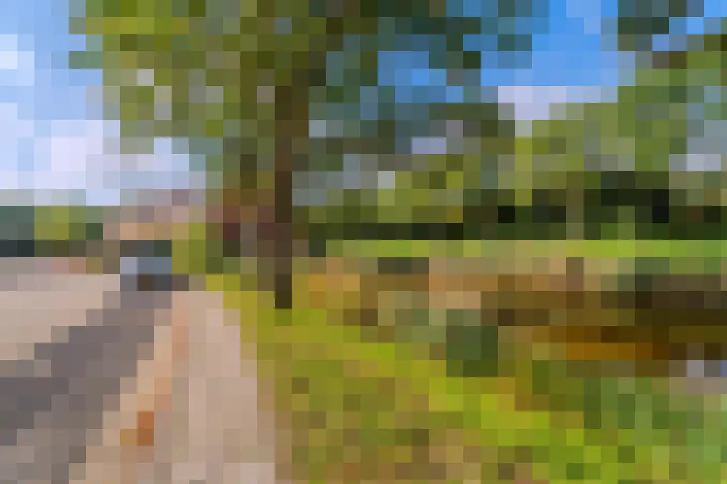 Portus 7 Poortugaal thumbnail 8